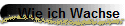 Wie ich Wachse